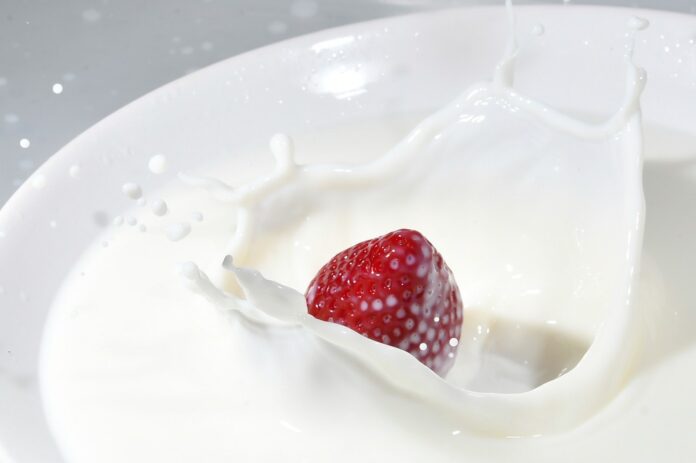 Top 10 camel milk yogurt producing countries in the world in 2025