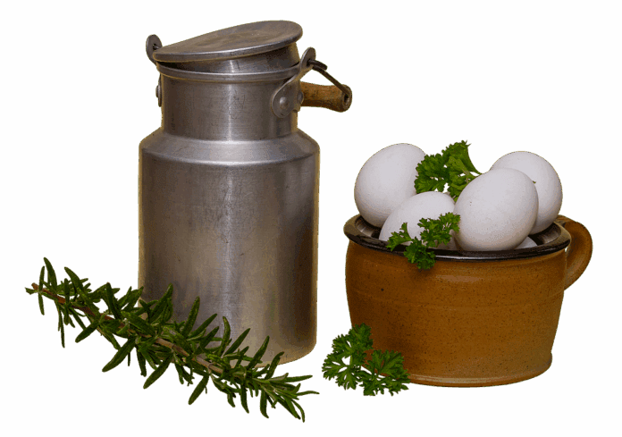 Top 10 cashew milk import companies in the Netherlands