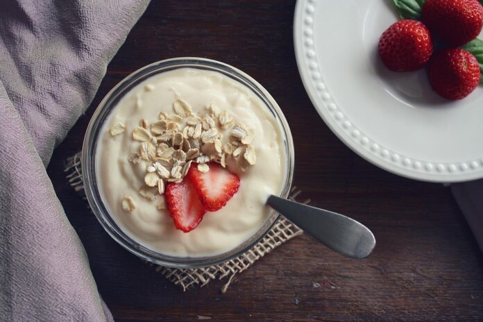 Top 10 cashew yogurt import companies in Canada