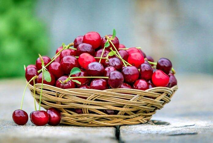 Top 10 cherry producing countries in the world in 2025