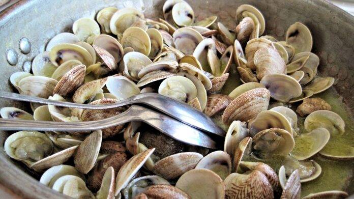 Top 10 clam import companies in Canada