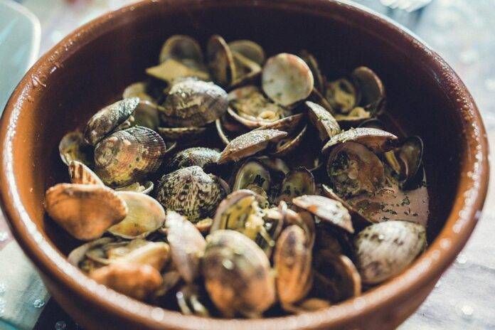 Top 10 clam import companies in France