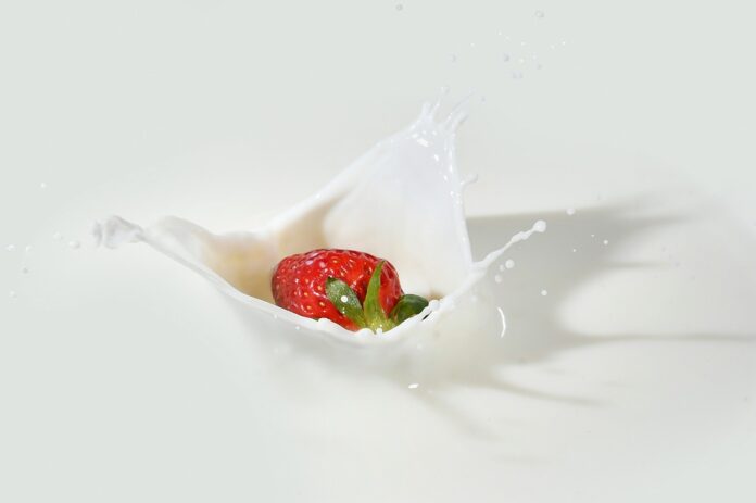 Top 10 coconut yogurt brands in Sri Lanka
