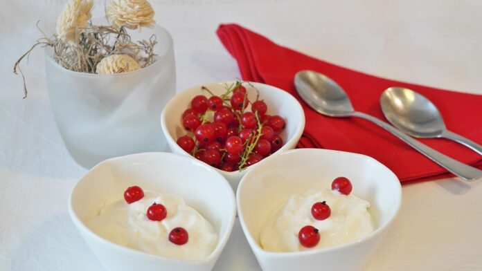 Top 10 coconut yogurt brands in the United States