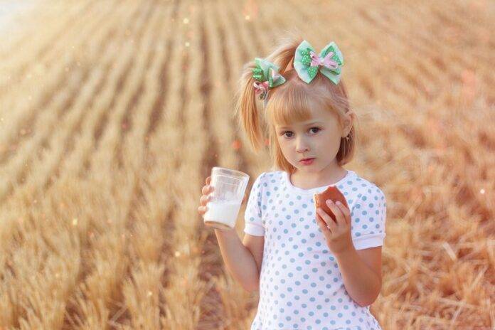 Top 10 flax milk export companies in China