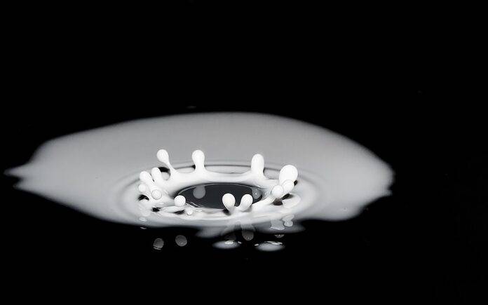 Top 10 flax milk importing countries in the world in 2025