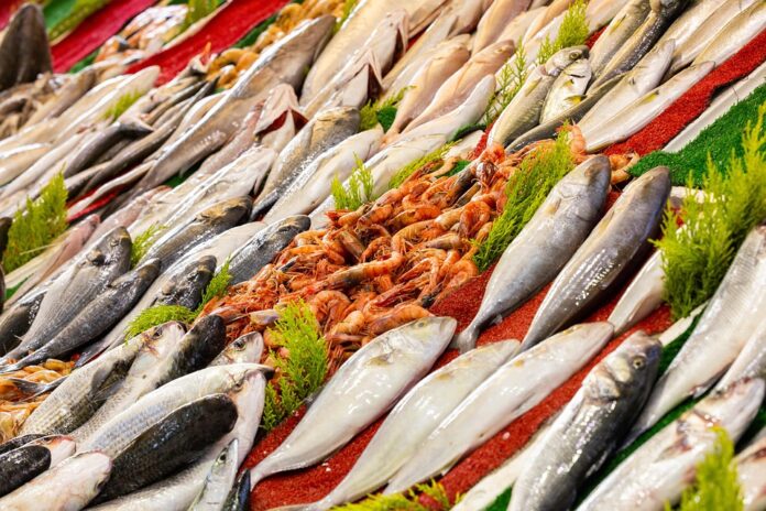 Top 10 frozen seafood export companies in Norway