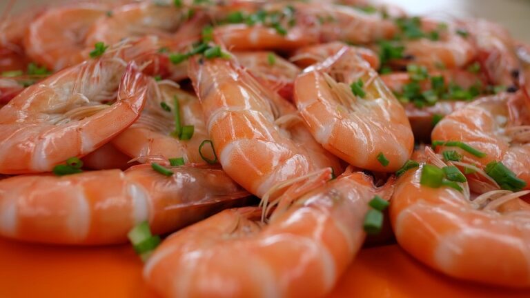 Top 10 frozen seafood import companies in France Top 10 frozen seafood import companies in France