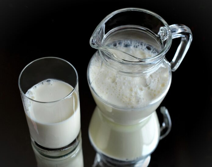 Top 10 goat milk export companies in India
