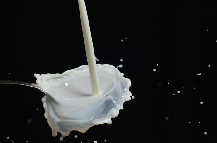 Top 10 goat milk export companies in the United States