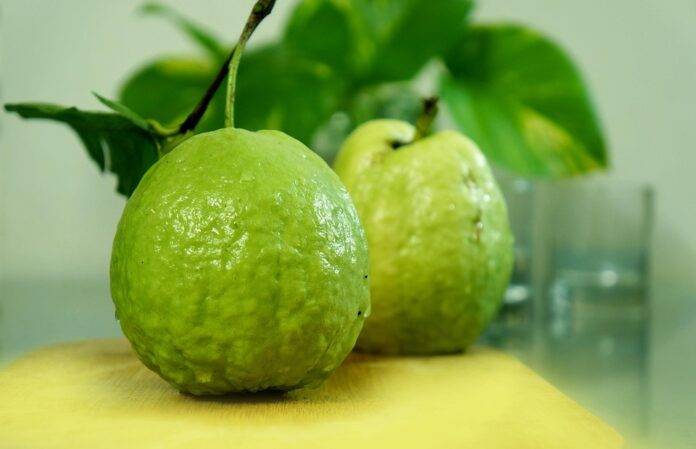 Top 10 guava import companies in Germany