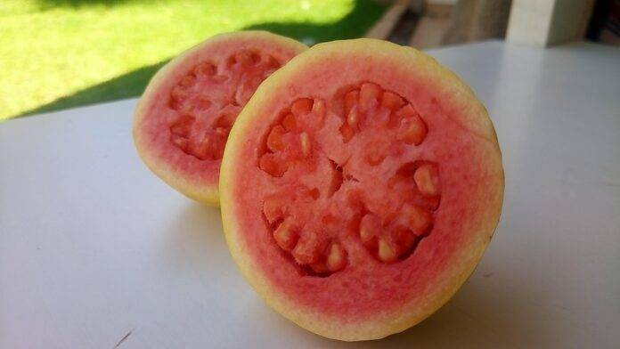 Top 10 guava import companies in the United Kingdom
