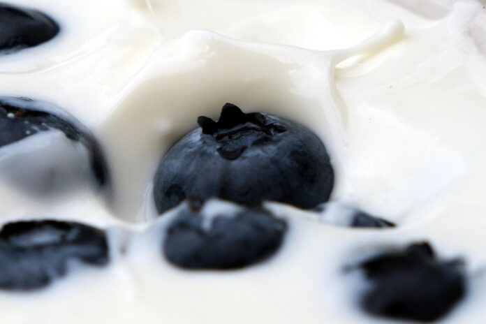 Top 10 hemp yogurt export companies in Canada