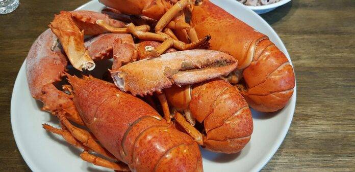 Top 10 lobster brands in Australia