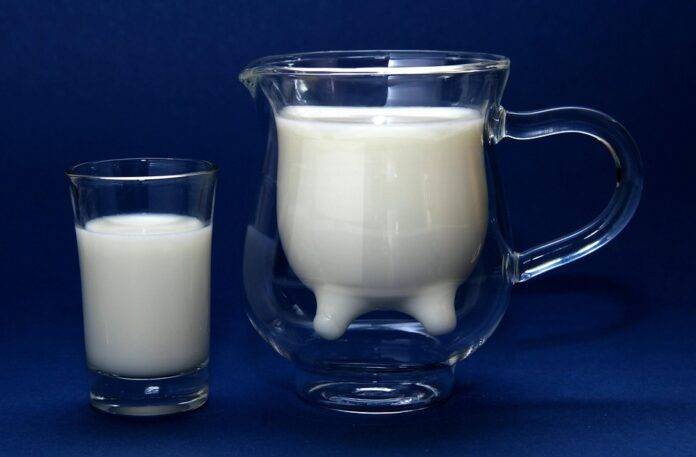 Top 10 macadamia milk import companies in South Korea