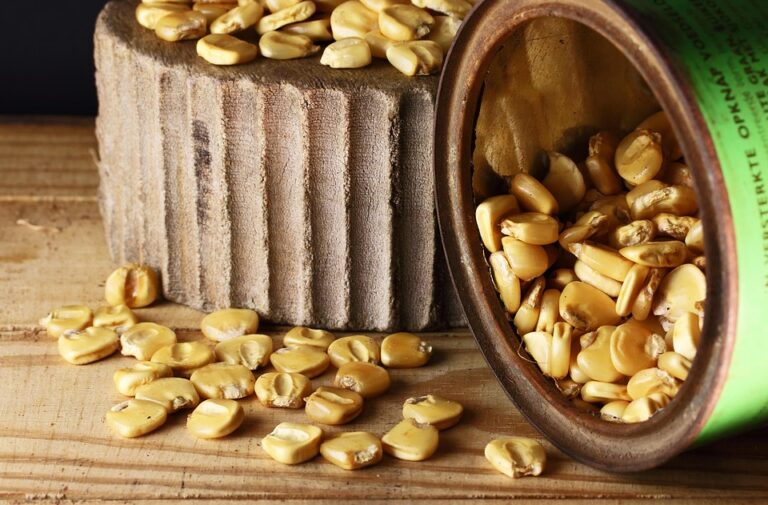 Top 10 maize corn brands in Ukraine