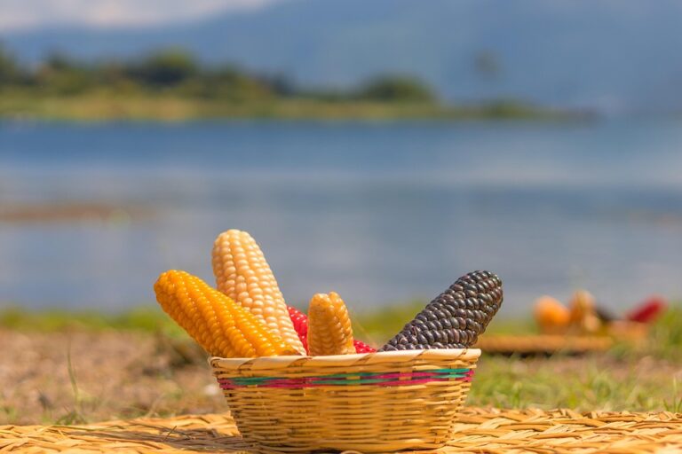 Top 10 maize corn import companies in Japan