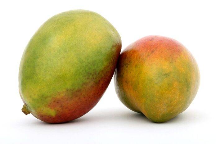 Top 10 mango brands in Egypt known for juicy and fiberless varieties