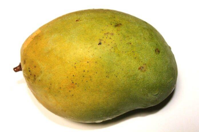 Top 10 mango brands in Indonesia catering to tropical fruit export markets