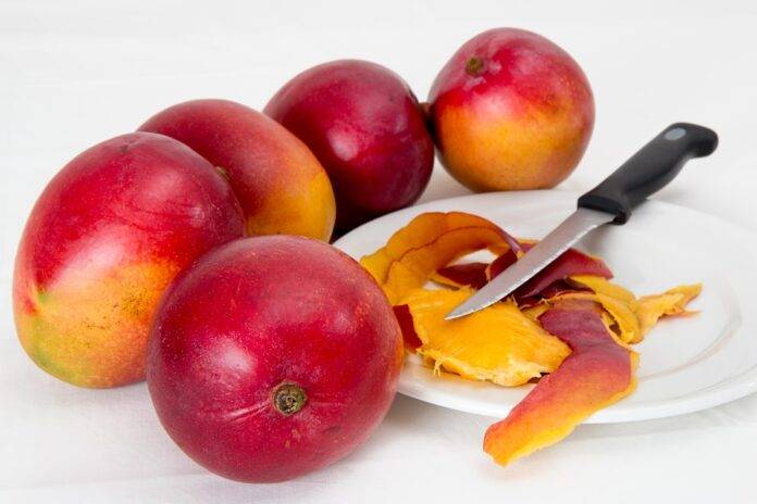Top 10 mango export companies in Thailand specializing in premium varieties