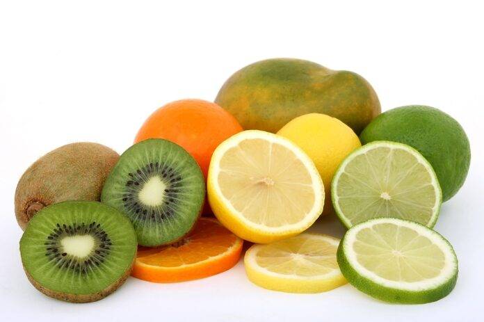 Top 10 mango import companies in the Netherlands specializing in re export and logistics