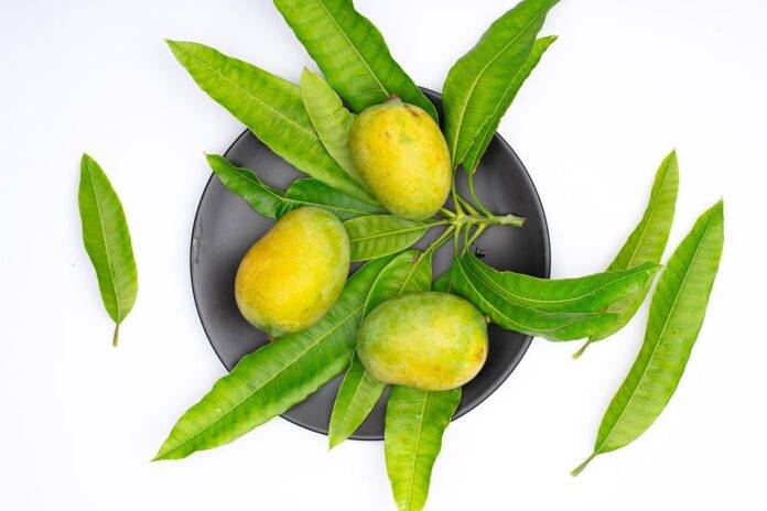 Top 10 mango importing countries by volume and demand in 2025