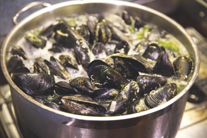 Top 10 mussel export companies in Chile