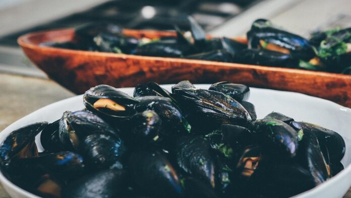 Top 10 mussel import companies in China