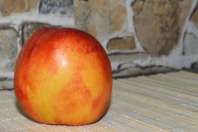 Top 10 nectarine brands in Chile