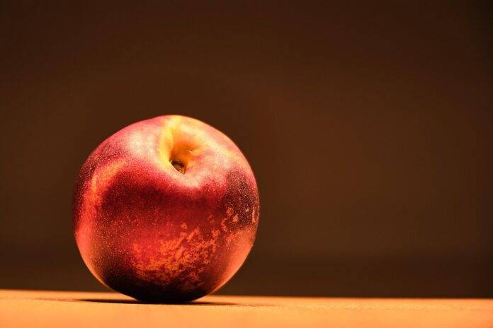 Top 10 nectarine export companies in China