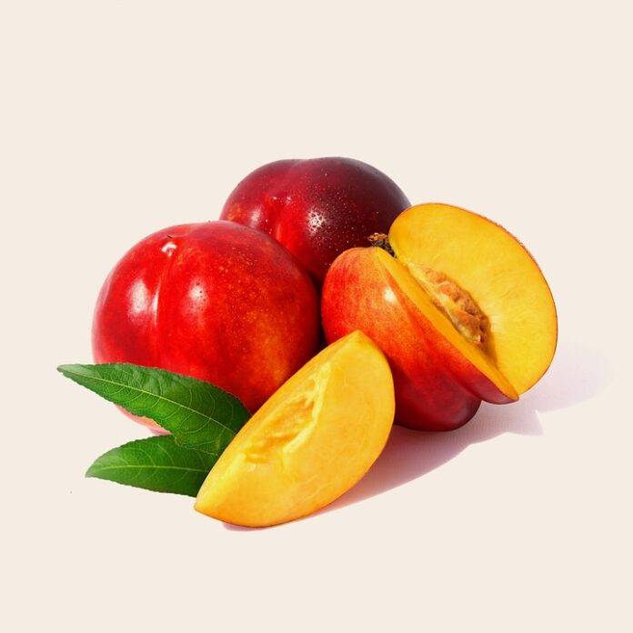 Top 10 nectarine export companies in Spain