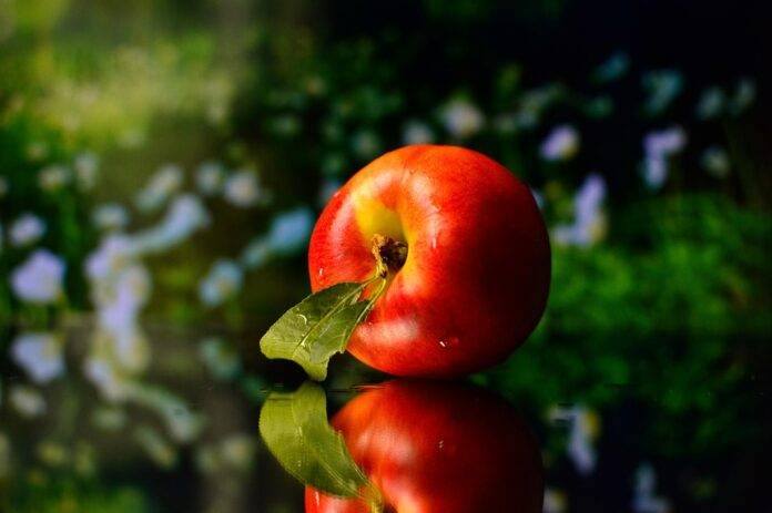 Top 10 nectarine import companies in Japan