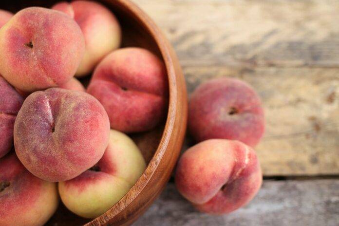 Top 10 nectarine producing countries in the world in 2025