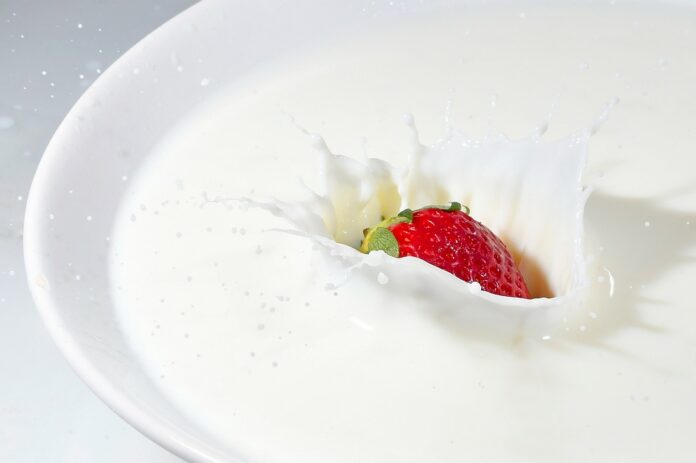 Top 10 oat yogurt brands in Canada