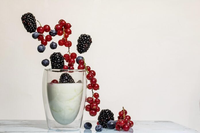 Top 10 oat yogurt export companies in Denmark