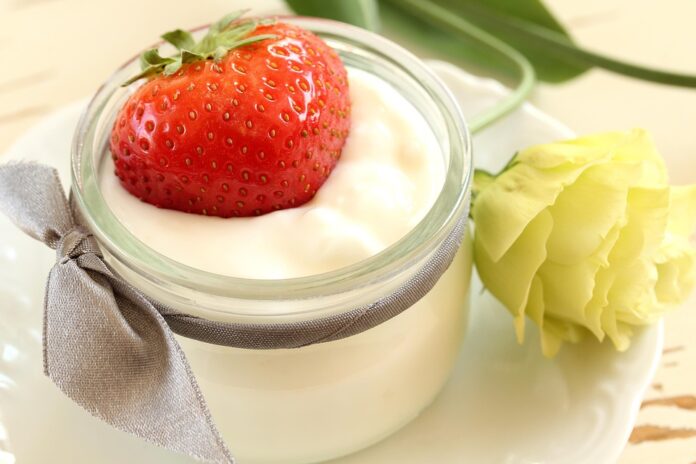 Top 10 oat yogurt import companies in the Netherlands