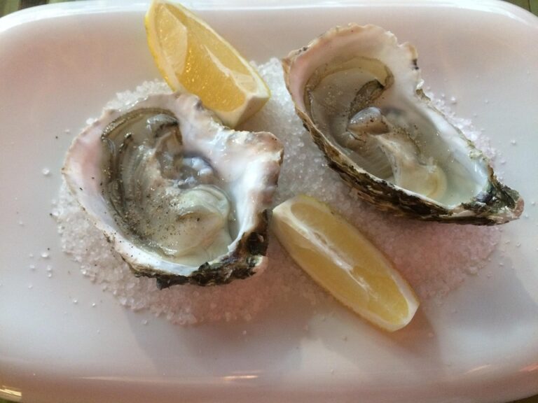 Top 10 oyster brands in Australia Top 10 oyster brands in Australia