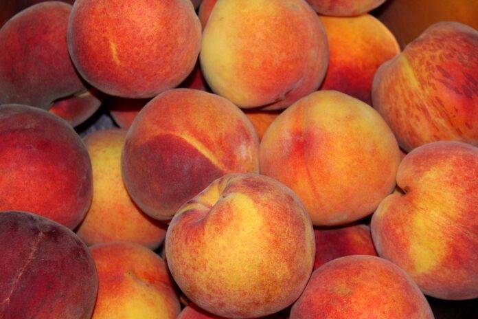 Top 10 peach brands in Chile