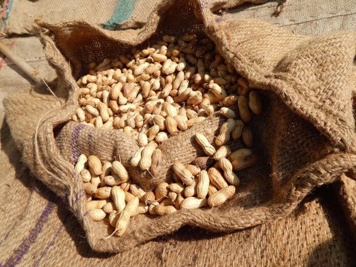 Top 10 peanuts brands in Brazil