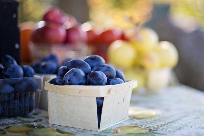 Top 10 plum import companies in the United Arab Emirates