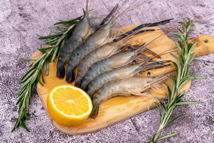 Top 10 prawn export companies in China