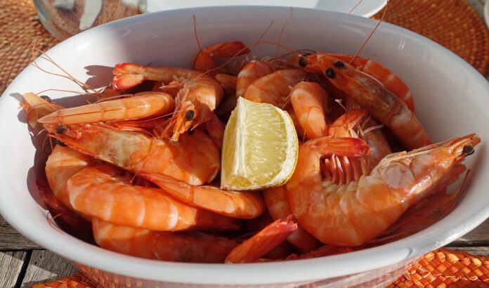 Top 10 prawn export companies in Myanmar