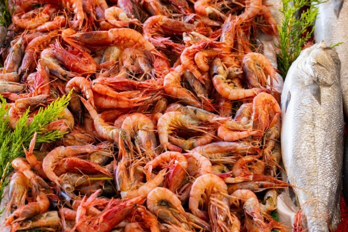 Top 10 prawn producing countries in the world in 2025