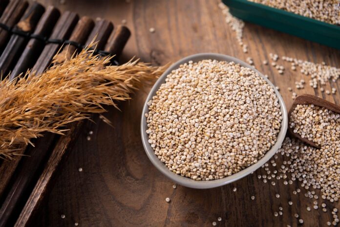 Top 10 quinoa export companies in Bolivia
