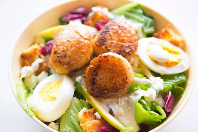 Top 10 scallop import companies in the United Kingdom