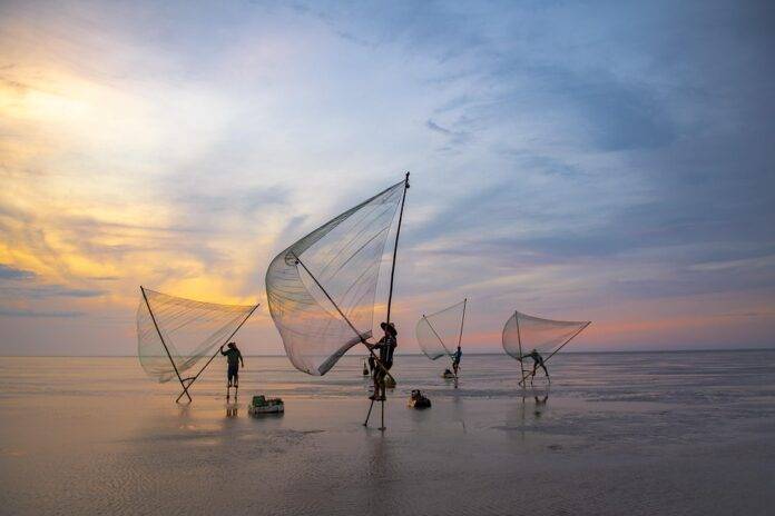 Top 10 scallop importing countries in the world in 2025