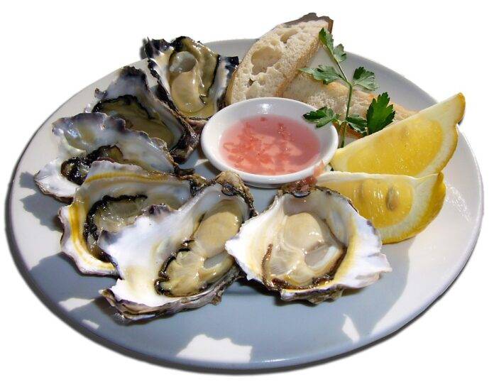 Top 10 seafood import companies in South Korea