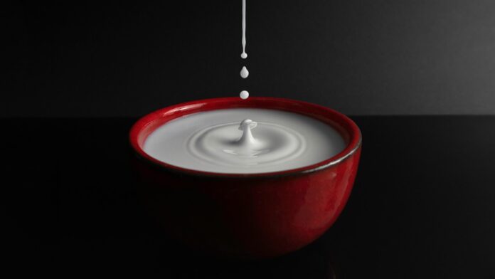Top 10 soy milk export companies in Japan