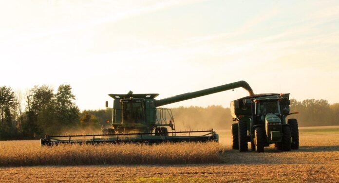 Top 10 soybean brands in China