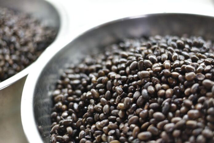 Top 10 soybean export companies in Canada